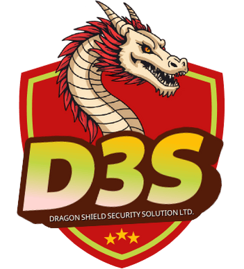D3S Logo